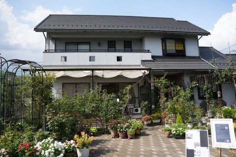 DSC05151