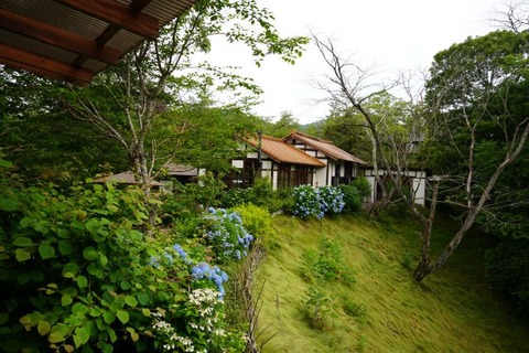 DSC03471