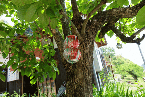 DSCF0861