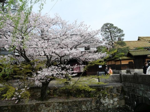 P1034681