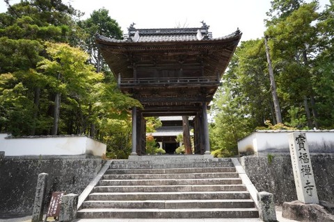 DSC01255