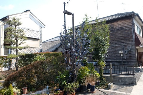 DSCF0151