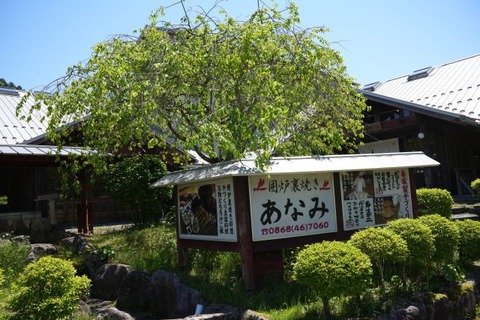 DSC04974