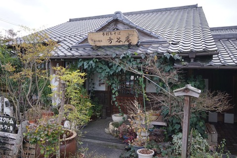 DSC01494