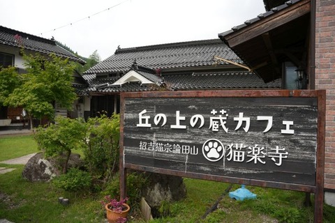 DSC04736