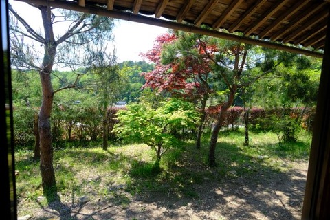 DSCF3586