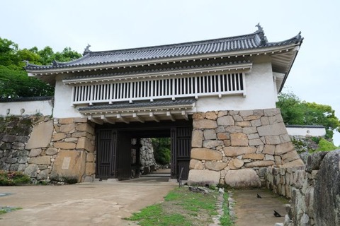 DSCF2321