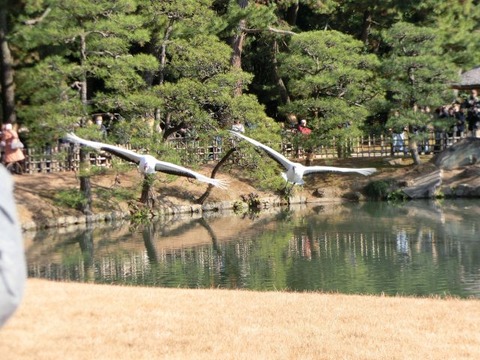 CIMG0256