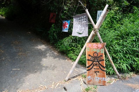 DSCF2541