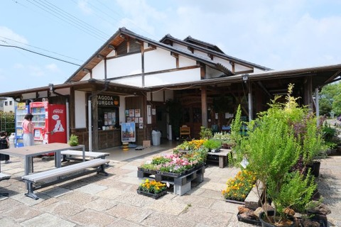 DSCF5749