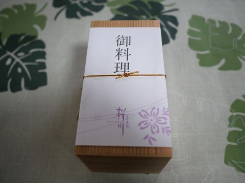 P1033924