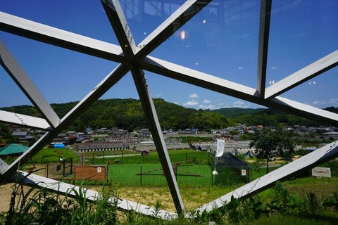 DSC05328