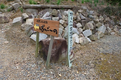 DSCF0706