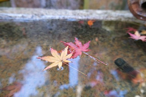 DSCF1522