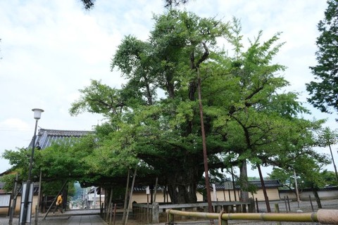 DSCF3909