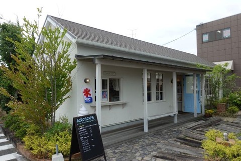 DSC00798