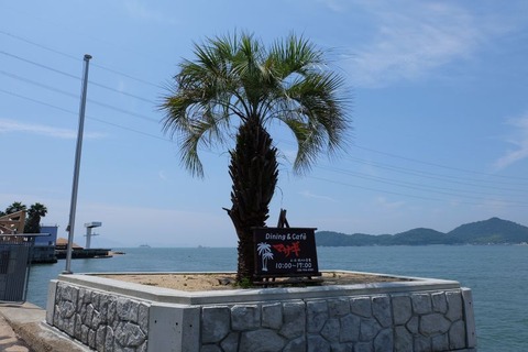 DSCF0930