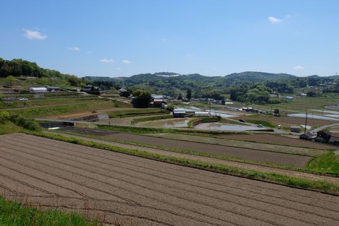 DSCF1783