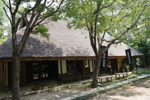 DSC01204