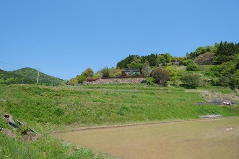 DSCF3568