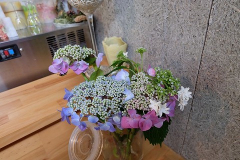 DSCF0981
