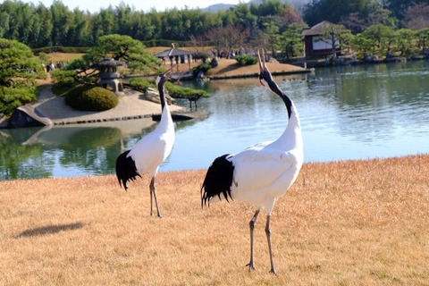DSCF1420