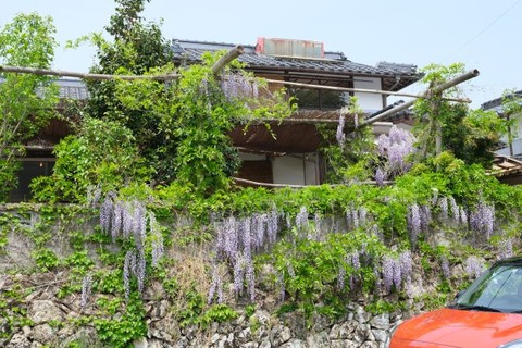 DSCF3532