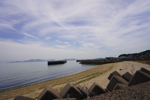 DSC06081