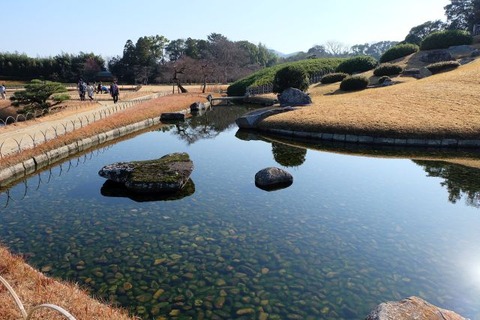 DSCF1335