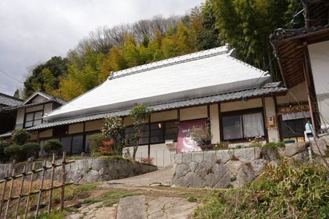 DSC00747