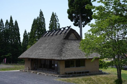 DSC01130