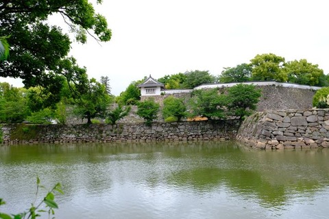 DSCF2273