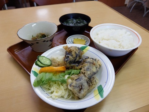 DSCF2100