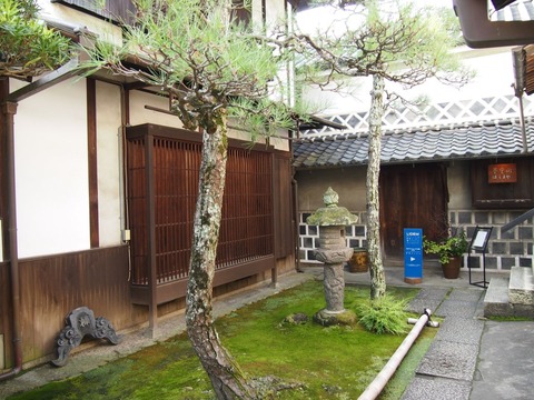 PA260980