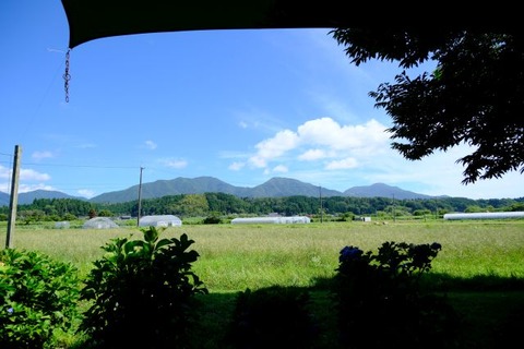 DSCF0902