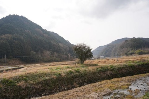 DSC06481