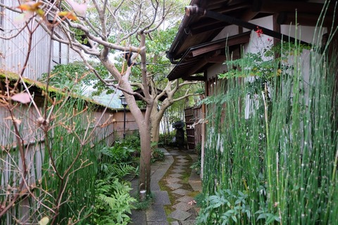 DSCF0505