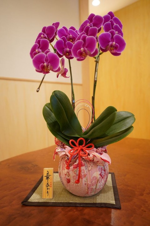 DSC05270