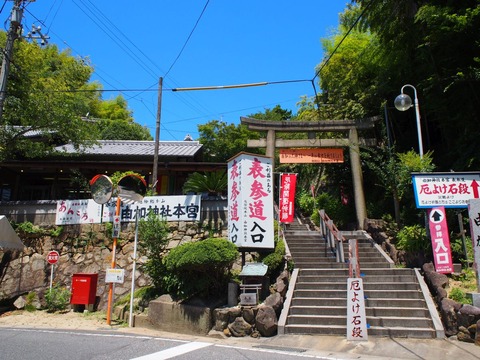 P7260790