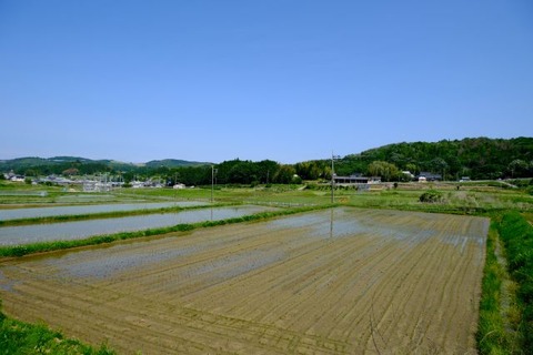 DSCF0830