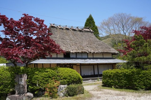 DSC00996
