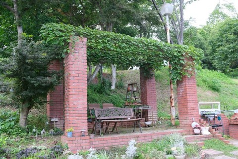 DSCF5134