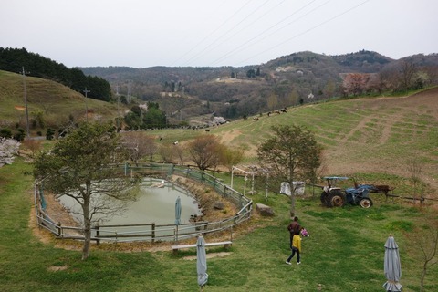DSC00576
