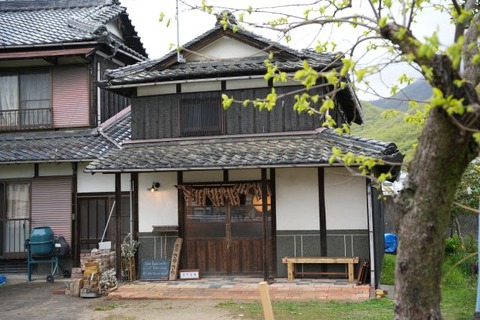 DSC04181