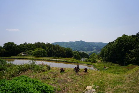 DSC03456