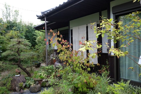DSCF1594
