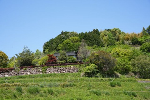 DSC03469