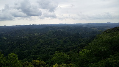 Q1683947093779 (1)
