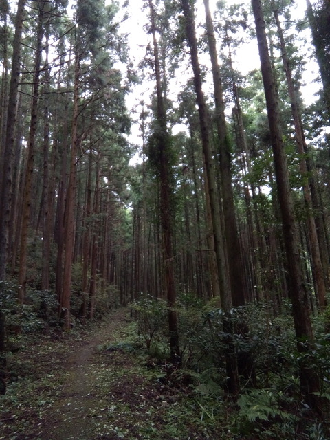 2024.9kamakitako 004