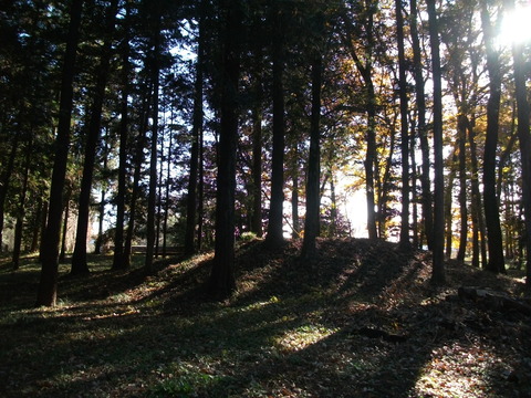 DSCF1544